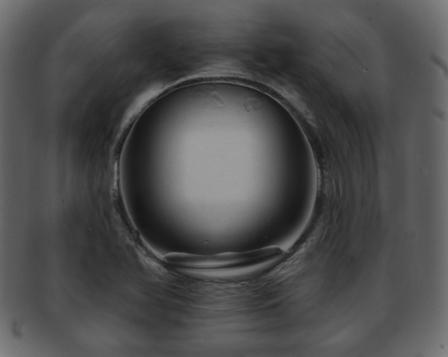 X0000093221366200709261623