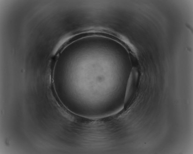 X0000093221368200709261623