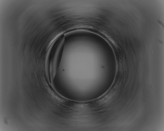 X0000093221369200709261623
