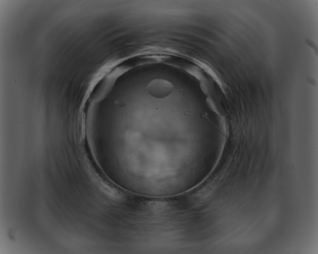 X0000093221371200709261623
