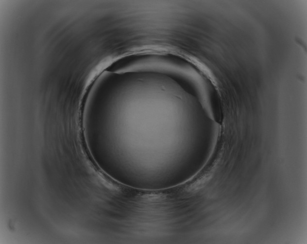 X0000093221373200709261623