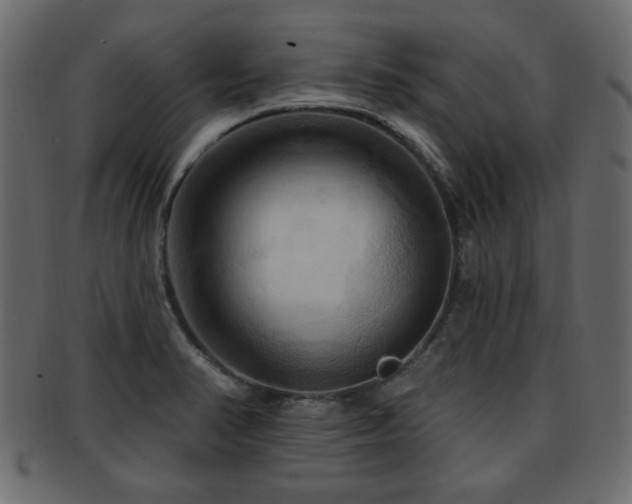 X0000093221374200709261623
