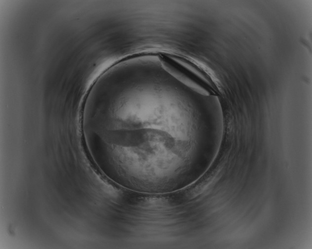 X0000093221375200709261623