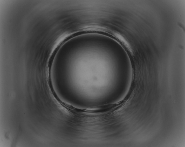 X0000093221376200709261623