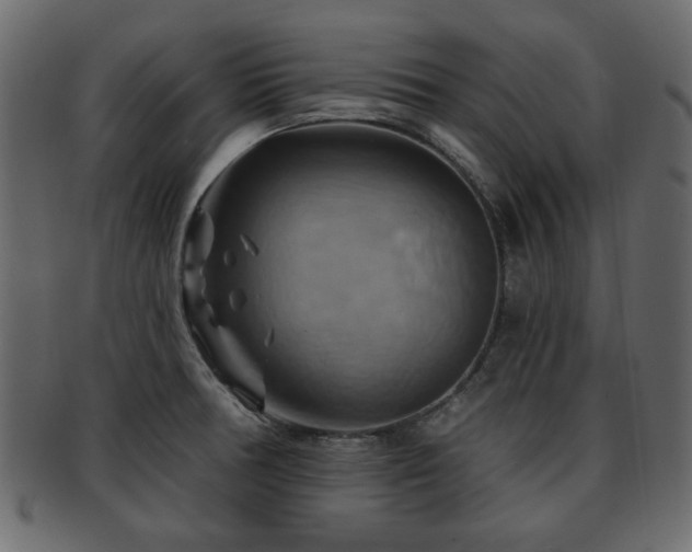 X0000093221378200709261623