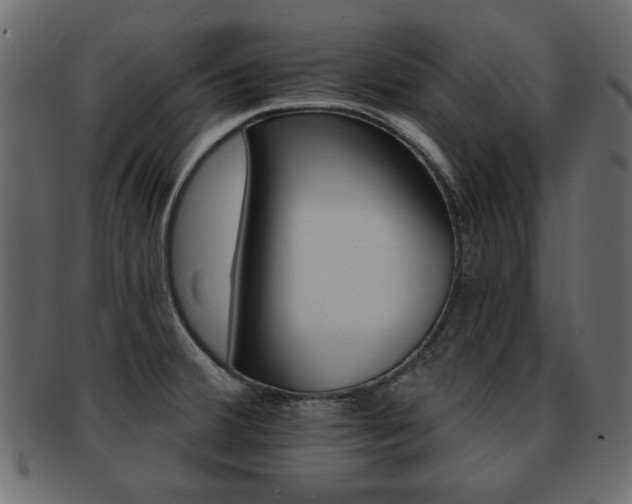 X0000093221380200709261623