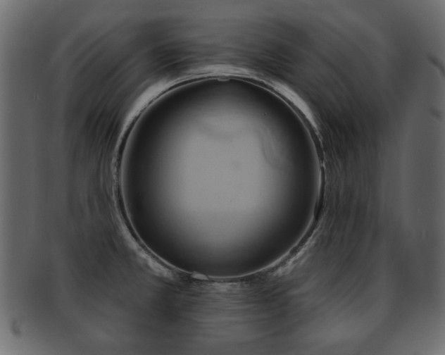 X0000093221381200709261623