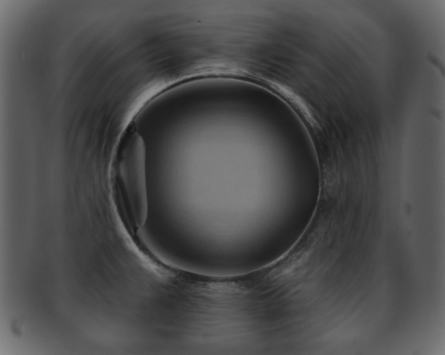 X0000093221383200709261623
