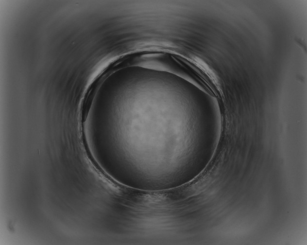 X0000093221384200709261623
