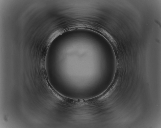 X0000093221385200709261623