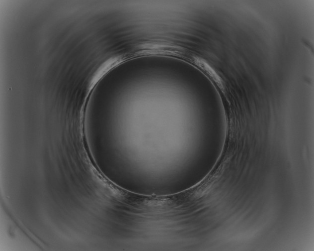 X0000093221386200709261623