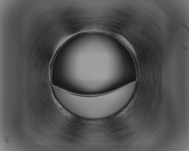 X0000093221388200709261623