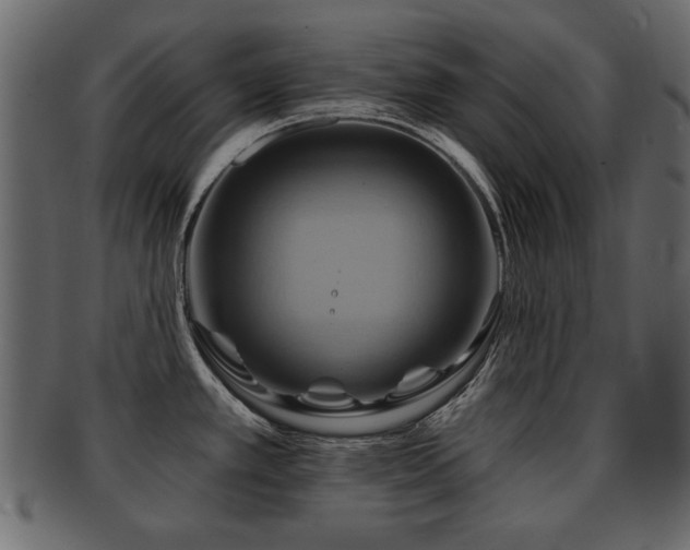 X0000093221389200709261623
