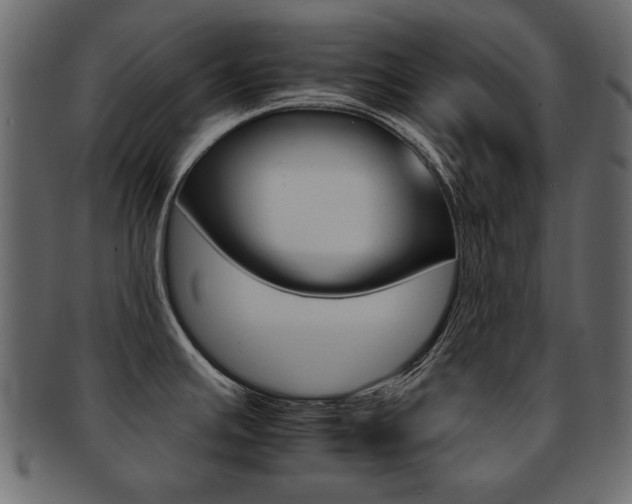 X0000093221391200709261623