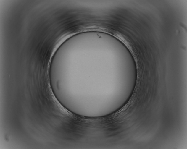 X0000093221392200709261623