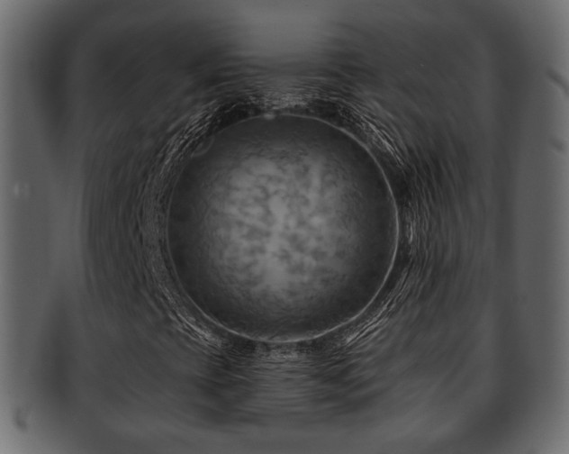 X0000093221393200709261622