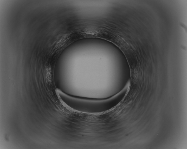 X0000093221394200709261622