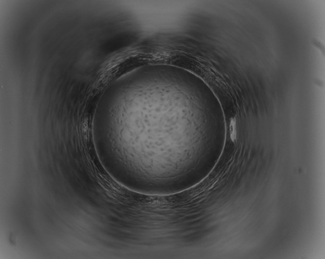 X0000093221395200709261622