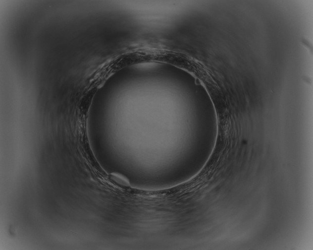 X0000093221397200709261622