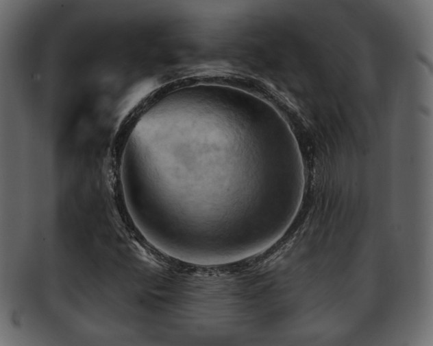 X0000093221400200709261622