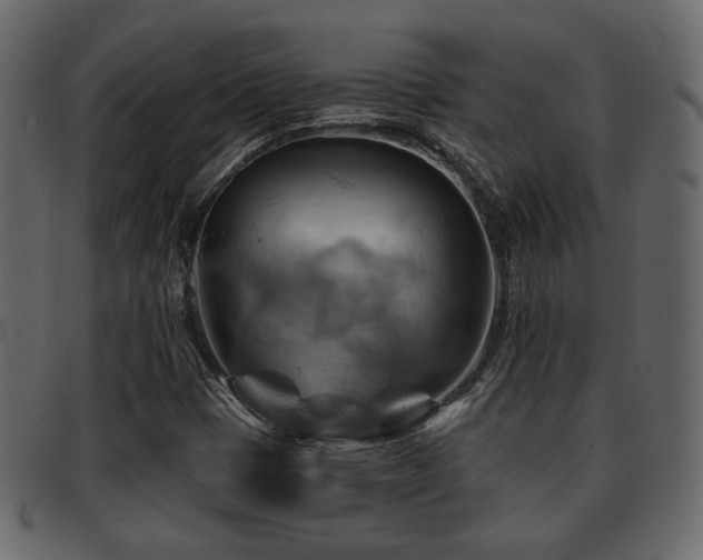 X0000093221401200709261622