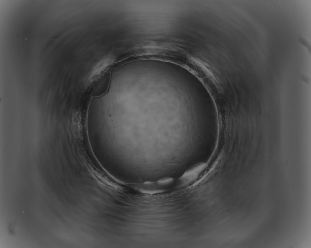 X0000093221403200709261622