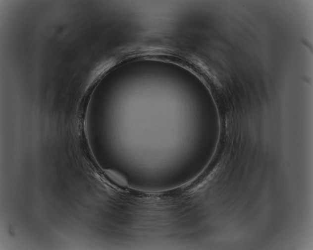 X0000093221405200709261622