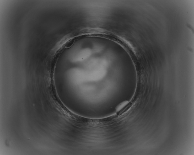 X0000093221407200709261623