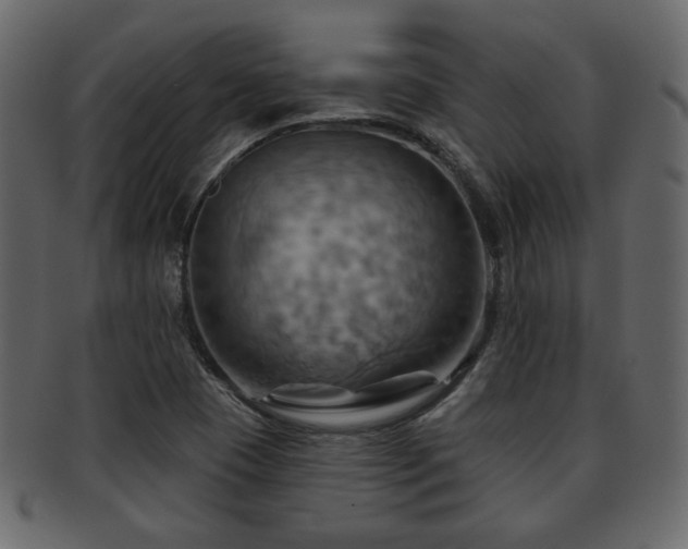 X0000093221409200709261623