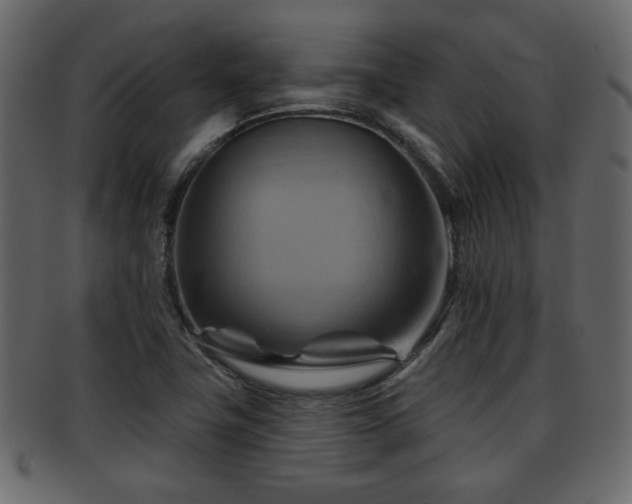 X0000093221411200709261623