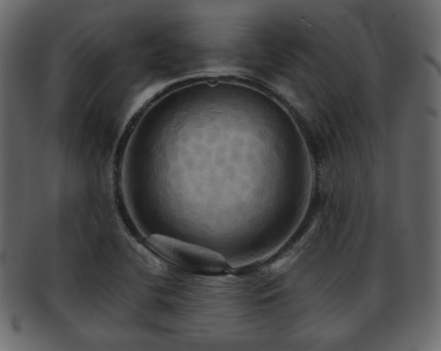 X0000093221412200709261623