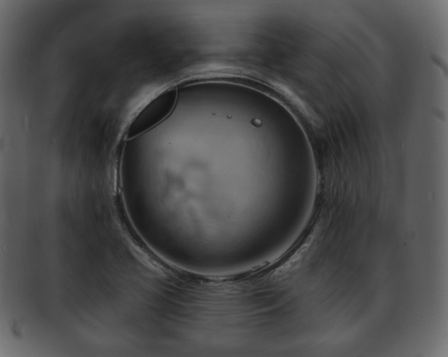 X0000093221413200709261623