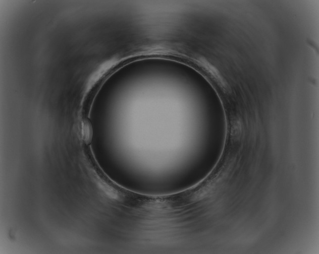X0000093221414200709261623