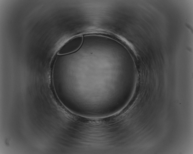 X0000093221415200709261623