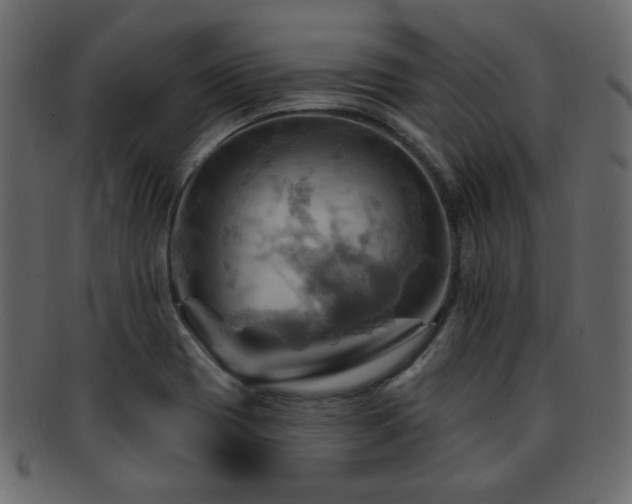 X0000093221417200709261623