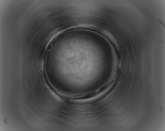 X0000093221420200709261623
