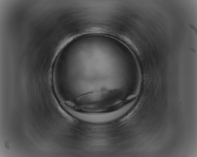 X0000093221421200709261623