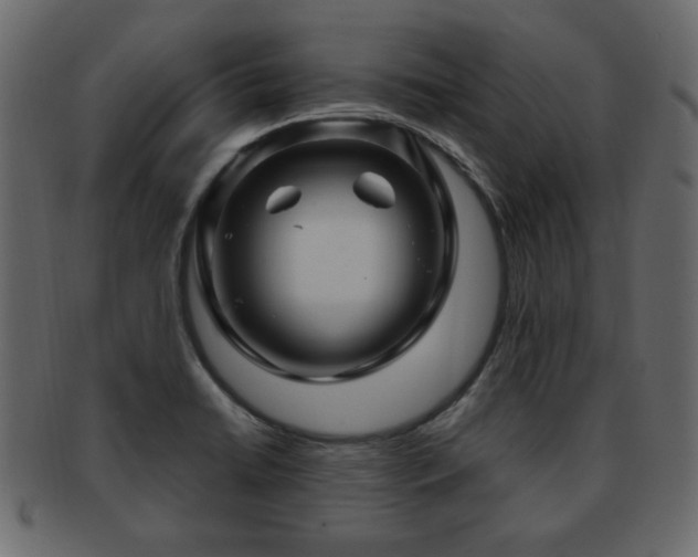 X0000093221422200709261623
