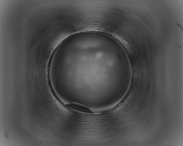 X0000093221423200709261623