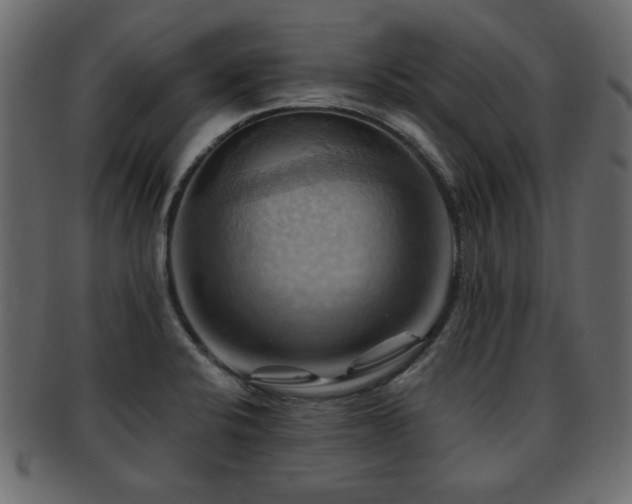 X0000093221424200709261623