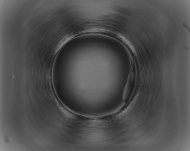 X0000093221425200709261623