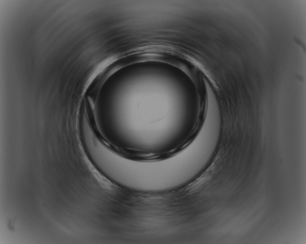 X0000093221426200709261623