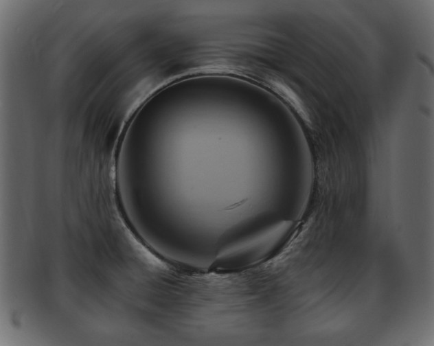 X0000093221428200709261623