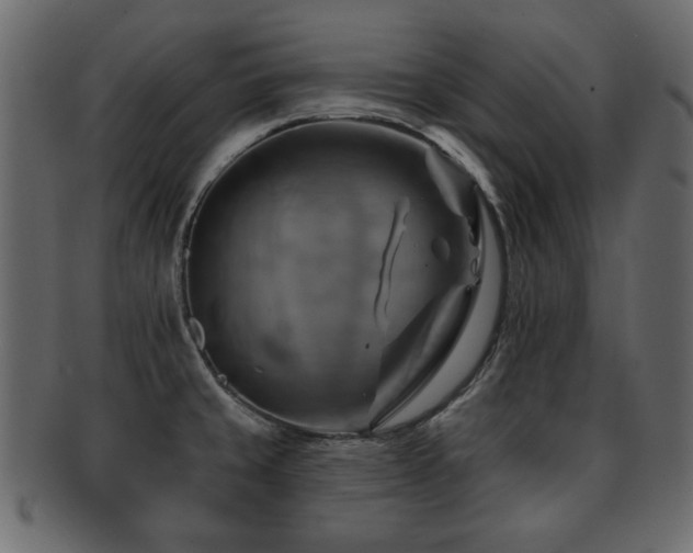 X0000093221429200709261623