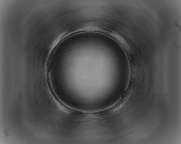 X0000093221430200709261623