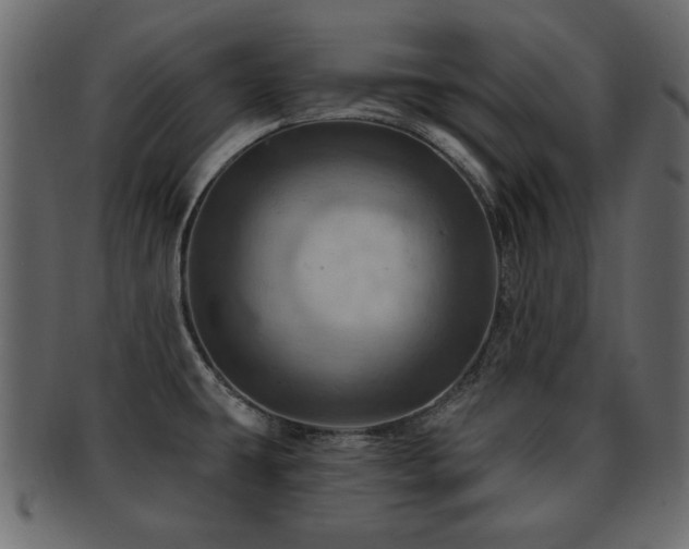 X0000093221431200709261623
