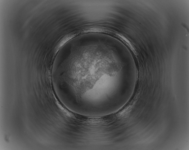 X0000093221433200709261623