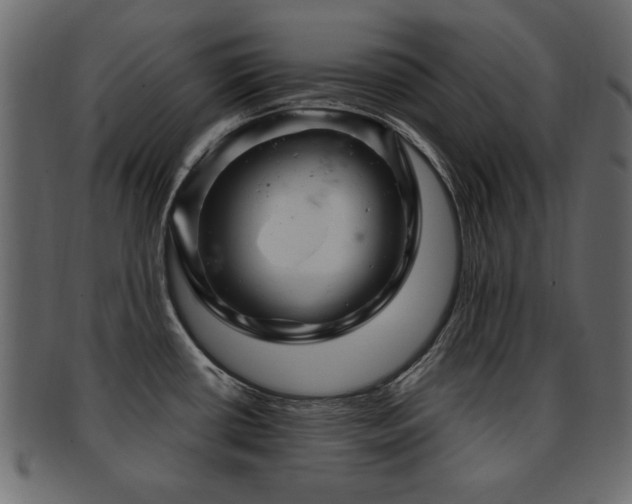 X0000093221434200709261623