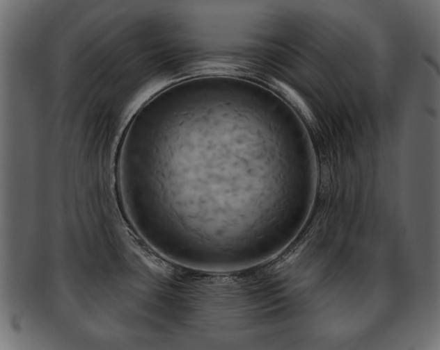 X0000093221435200709261623