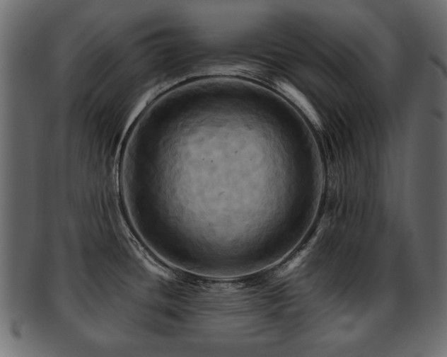 X0000093221436200709261623